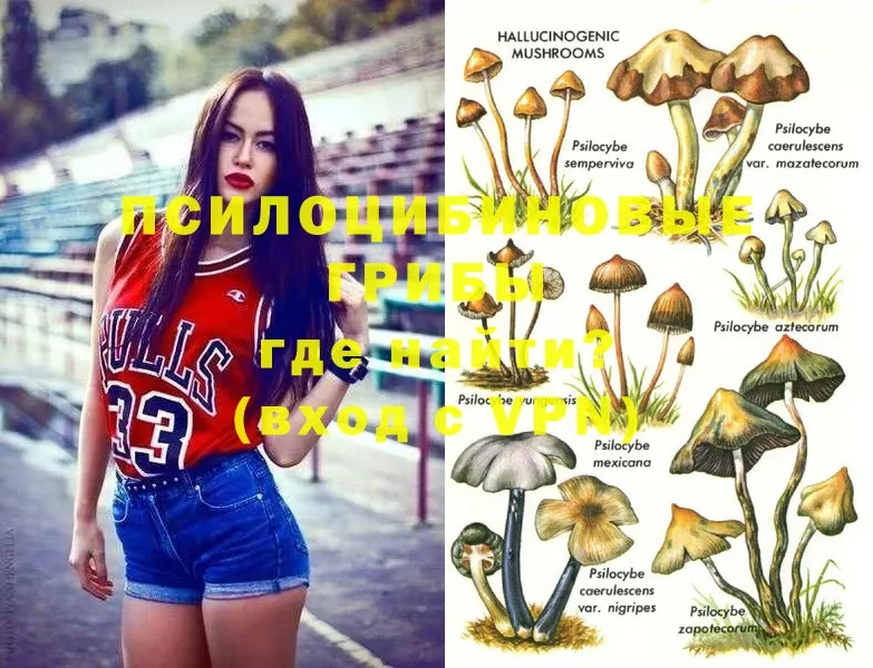 Галлюциногенные грибы MAGIC MUSHROOMS  где можно купить   Зерноград 